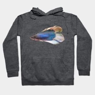 Majestic Blue Betta Fish Hoodie